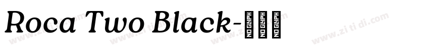 Roca Two Black字体转换